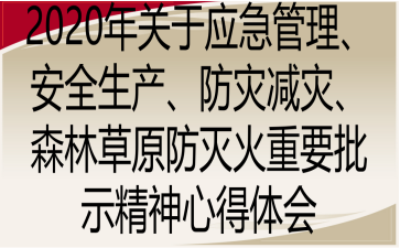 2020Pڑȫa(chn)ĜpġɭֲԭҪʾĵw