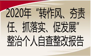 2020ꡰD(zhun)L(fng)؟(z)ץ䌍(sh)ٰl(f)չ΂(g)ԲĈ(bo)