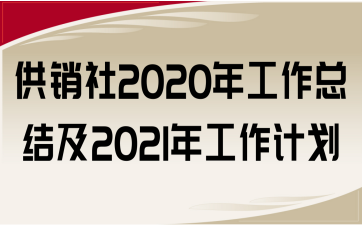 N2020깤Y2021깤Ӌ