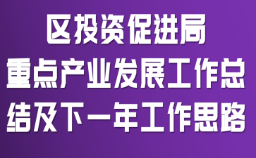 ^(q)ͶYMca(chn)I(y)l(f)չY(ji)һ깤˼·